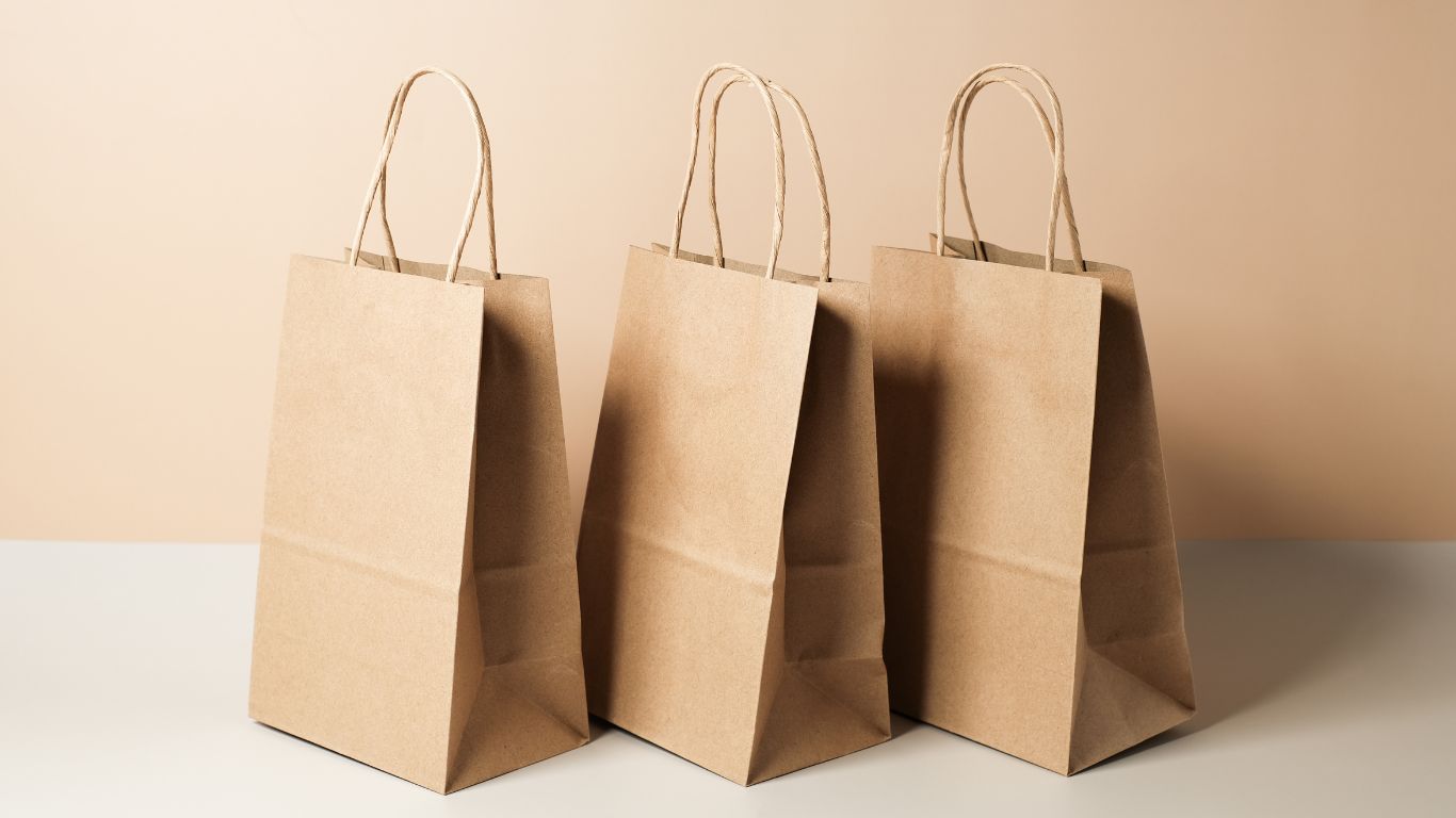 Bolsas Tipo Kraft